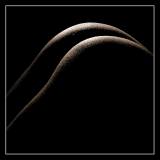 Zur Vergr&ouml;sserung auf das Bild klicken